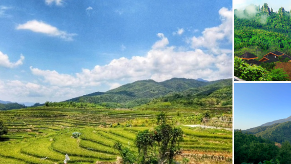 五指山—大自然的鬼斧神工+包車接送