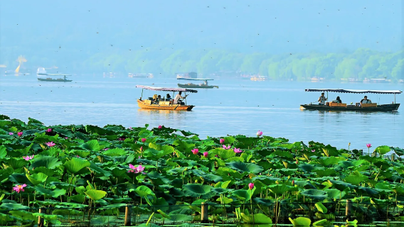 [Tour di un giorno con noleggio con conducente esclusivo a Hangzhou] Crociera sul Lago Ovest + Pagoda delle Sei Armonie + Piantagione di tè Longjing di Hangzhou + Via Qinghefang