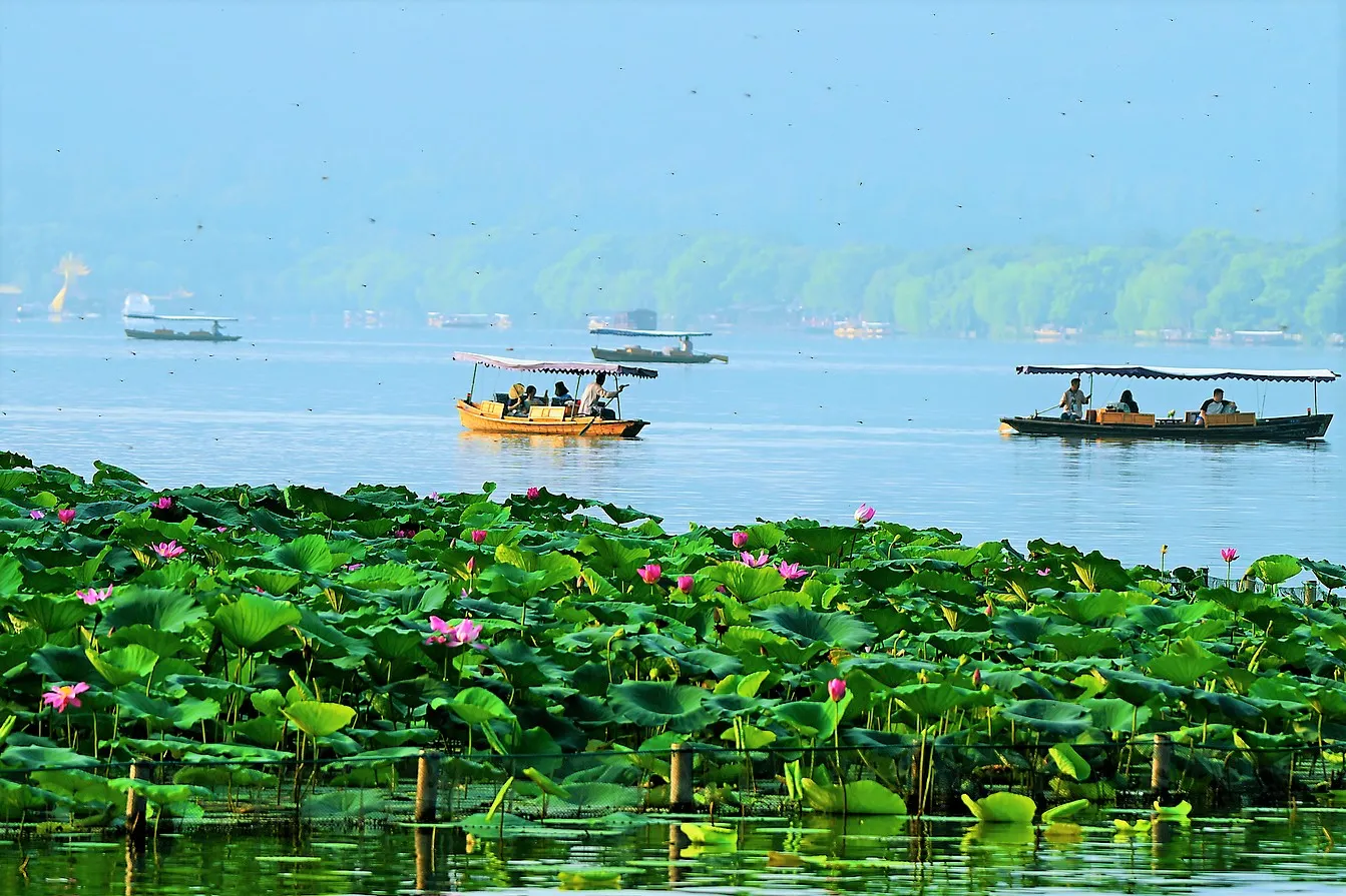 [Tour di un giorno con noleggio con conducente esclusivo a Hangzhou] Crociera sul Lago Ovest + Pagoda delle Sei Armonie + Piantagione di tè Longjing di Hangzhou + Via Qinghefang
