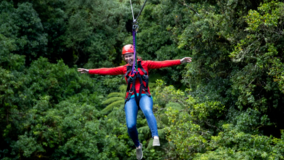 Experiencia de tirolina en el bosque de secuoyas de Rotorua, Isla Sur de Nueva Zelanda [Fotografía gratuita incluida|Opciones de paquete de 2.5 horas/3 horas]