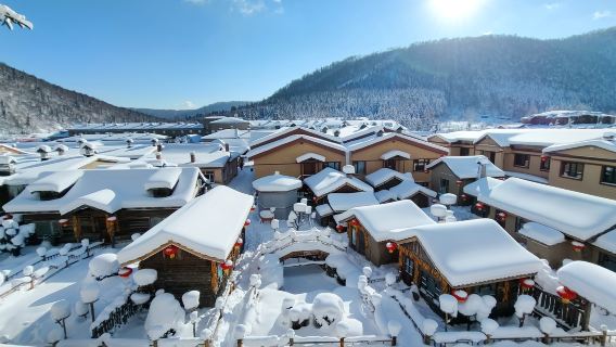 悠享雪鄉◆下午團【2-8人精品團~贈馬拉爬犁~雪滑梯】含門票