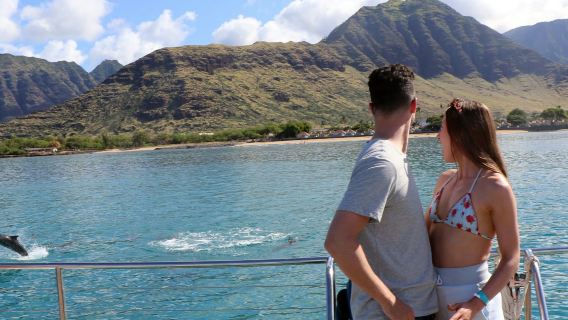 Hawaii: Dolphin Watching Cruise + Zipline + Snorkeling + Lunch & Drinks