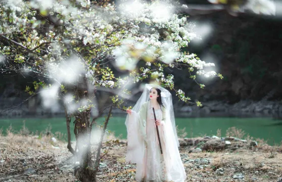 南寧Trip Moments【街拍抓拍航拍約拍跟拍婚拍攝影錄影/多語言翻譯】