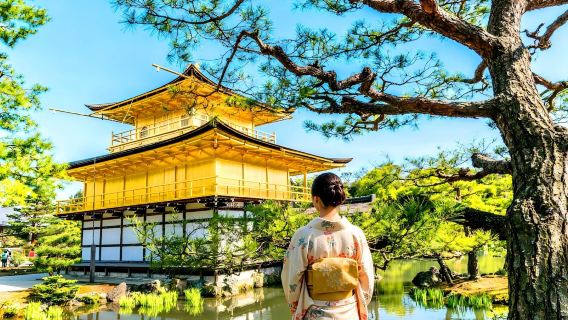 Pèlerinage culturel dans l'ancienne capitale Kyoto : Temples anciens de Kyoto + Fushimi Inari-taisha, excursion d'une journée au charme traditionnel japonais