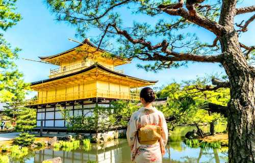 京都古都文化巡禮:京都古寺+伏見稻荷大社,和風古韻一日遊