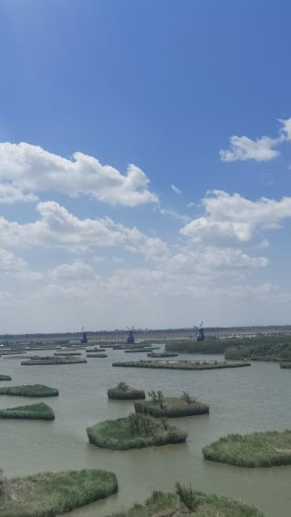 Shandong Shouguang Vegetable Demonstration Park + The Peony Garden + Judian Lake 1-day tour with bilingual service (Chinese/English)
