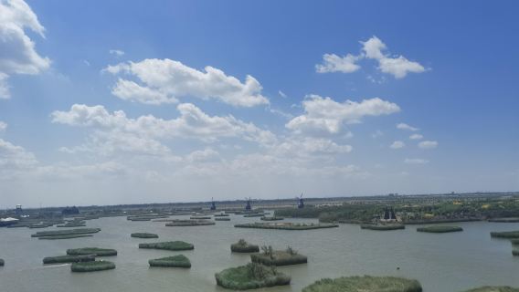 Shandong Shouguang Vegetable Demonstration Park + The Peony Garden + Judian Lake 1-day tour with bilingual service (Chinese/English)