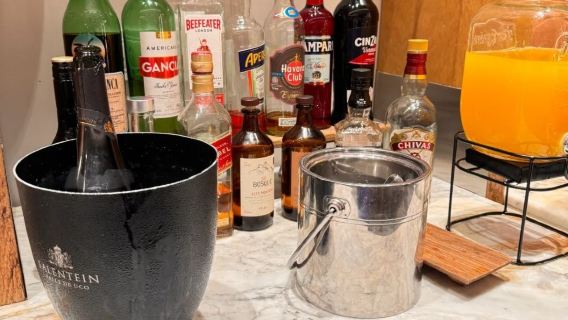 Áo | Phòng chờ VIP tại Sân bay quốc tế Wien