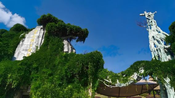 One-day private tour to Yunnan Safari Park and Kunming Old Street [Private chartered car + admission ticket]