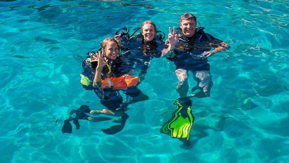 Santa Ponsa: Try Scuba Diving in a Marine Reserve