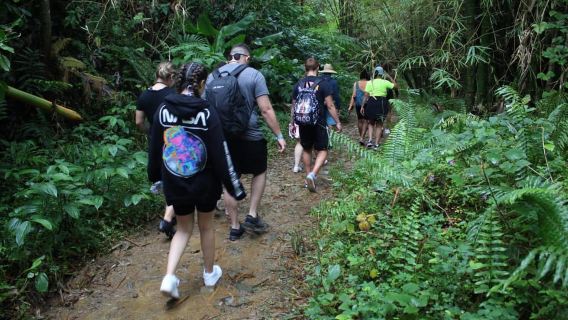 サンフアン発: 熱帯雨林ウォーク、ネイチャースイム & カンチャ・ルキリョ