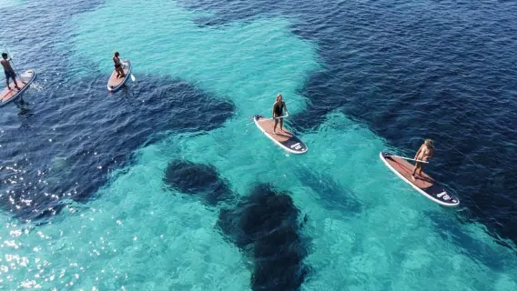 Golfo Aranci: Lawatan papan dayung SUP memerhati lumba-lumba dengan aperitif