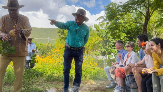 Oaxaca Mexico rejseguide ledsagelse forretnings-/messeoversættelse privat tilpasset lejebil tur