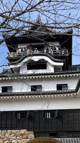 Nagoya Inuyama Castle & castle town half-day tour