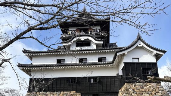Nagoya Inuyama Castle & castle town half-day tour