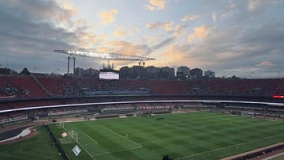 São Paulo: Experience a Brazilian soccer match with a local fan