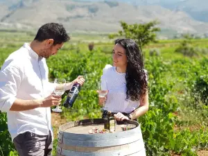 Cortijo El Cura Eco-Bodega guided visit and wine tasting in English
