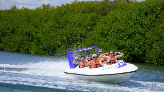 Jungle tour: speedboat & snorkel
