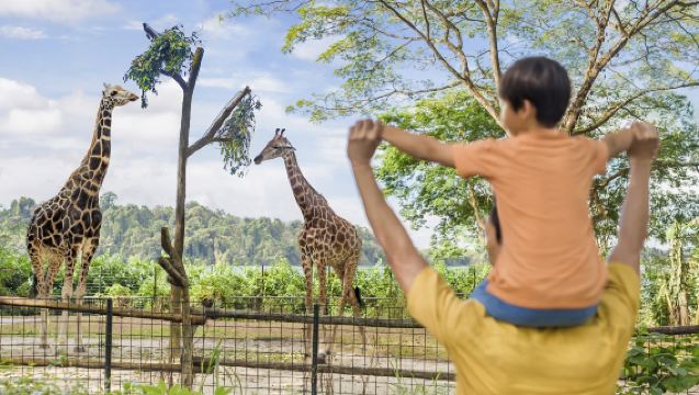 Singapore Popular Attractions Pass (includes 25+ popular attractions, choose 3/4/5 more)