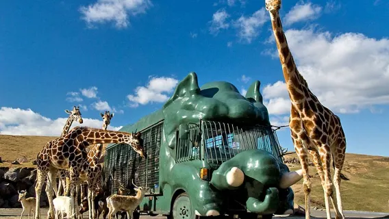 Excursión de un día al Zoológico Natural de Kyushu en Fukuoka, Monte Yufu, Yufuin y el Infierno del Mar