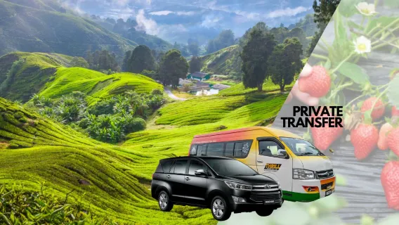 Kuala Lumpur : transfert privé depuis/vers Cameron Highlands