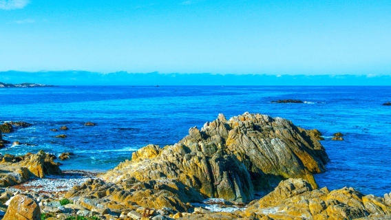 美國17裏灣風景線+卡梅爾海+卡梅爾海灘+孤柏一日遊