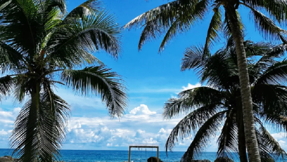 Tonguling, Wenchang, Hainan|Baia della Luna|Baia di Qishui|Vecchia strada di Wennan|Hobbiton|tour di un giorno xx