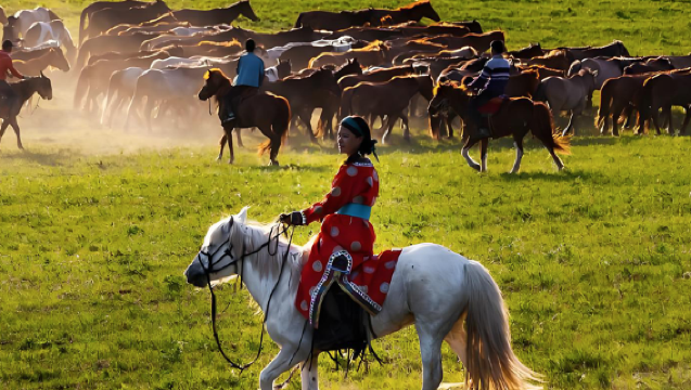 張掖旅遊 軍馬場一日遊 上門接駁 多組合可選 純玩無購物享伴