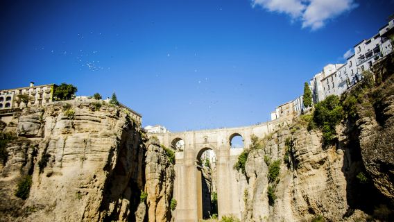 Ronda: Guided Tour from Málaga