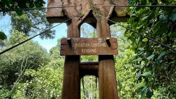 Ulu Temburong National Park one-day tour