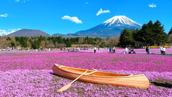 FujikawaguchikoTours
