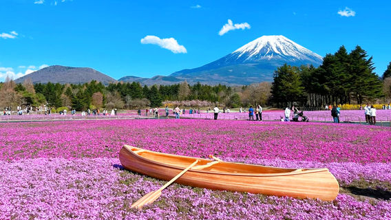 Yamanashi