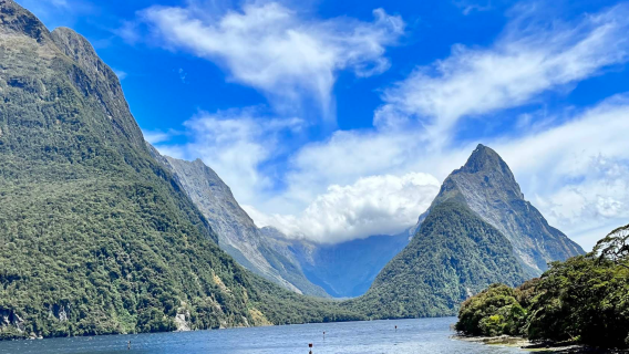 QueenstownTransport