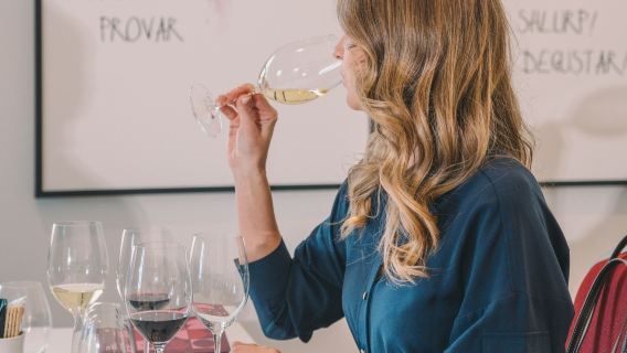 WOW Porto Wine School: Personalized Tasting + The Wine Experience Entry