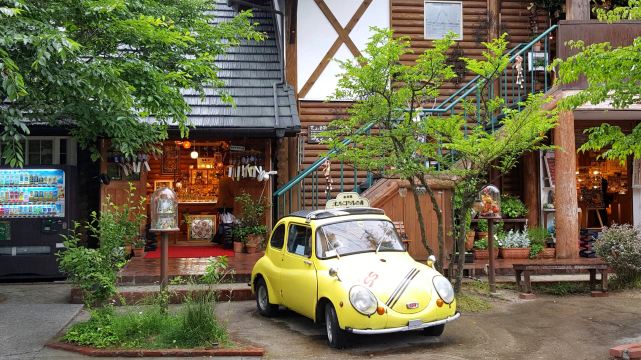 Kyushu Nature Zoo Day Tour
