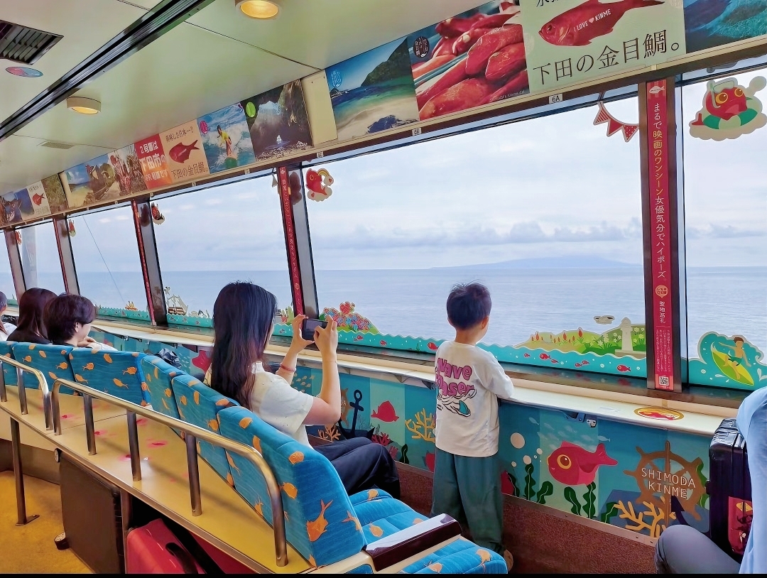 1-day tour in Izu: Free ocean-view train + Jogasaki coast, visit