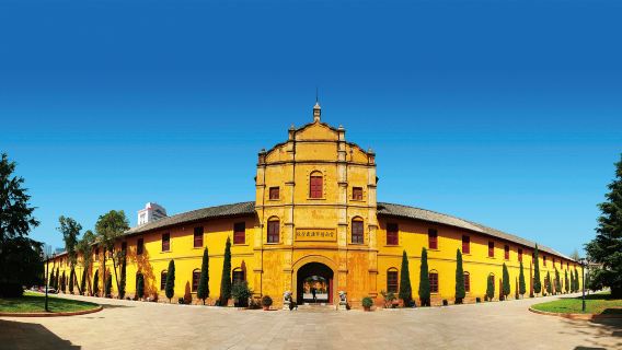 Academia Militar de Yunnan Kunming + Universidad Nacional del Suroeste + Museo Provincial con visita guiada con explicaciones al museo [grupo reducido de 8 personas en vehículo ejecutivo]