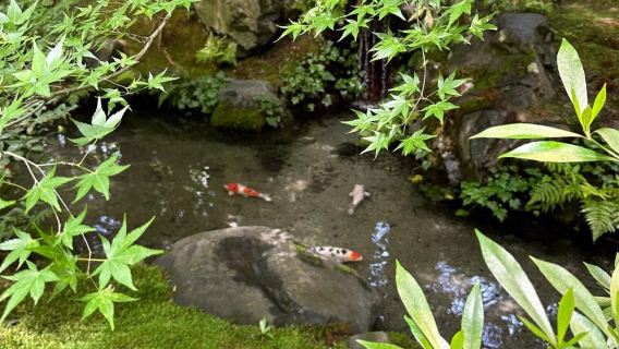 日本京都-瑠璃光院-三千院-貴船神社-嵐山-紅葉巡禮+紅葉季