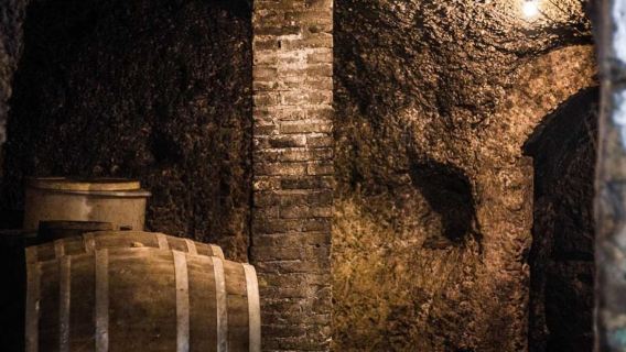 Con đường rượu vang Frascati từ Rome: Thưởng thức & Ăn trưa