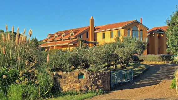 Waiheke Island: Private Art Tour with Lunch