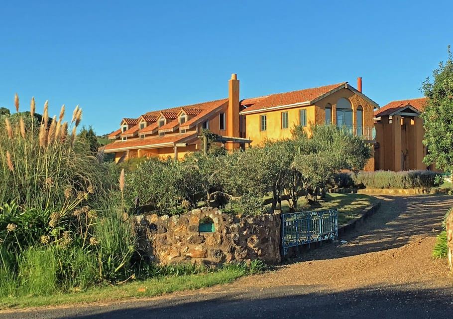 Waiheke Island: Private Art Tour with Lunch