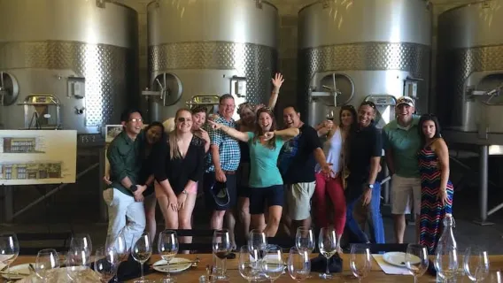 Lembah Napa: Tur Anggur Berpemandu dengan Makan Siang Piknik