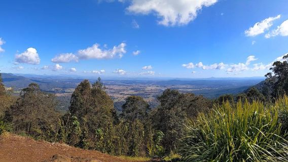 From Brisbane: Tamborine Mountain and Paradise Point Tour