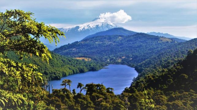 From Pucón: Huerquehue National Park Hiking Tour