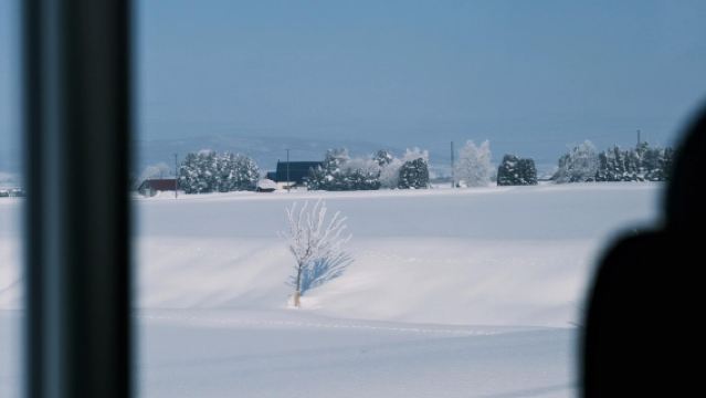 日本北海道旭川美瑛｜白鬚瀑布｜孤獨聖誕樹｜札幌來回｜中文專車