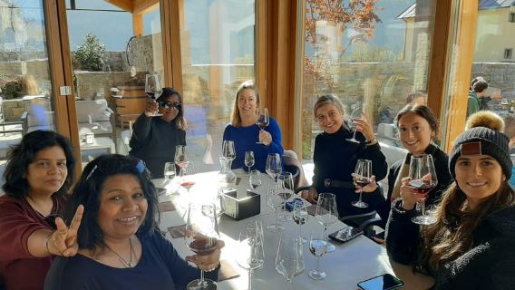 From Milan: Scenic Alps Day Trip with Bernina Train Ride