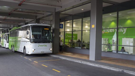 Billet de bus Intercity pour l'île du Nord de la Nouvelle-Zélande (départs possibles depuis Auckland/Rotorua/Taupo/Wellington)
