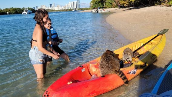 Майами: незабываемая экскурсия на лодке по заливу Бискейн с каякингом