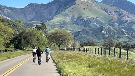 Los Olivos: tour in bici elettrica + pranzo in vigna con degustazione di vini