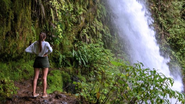 Biglietto giornaliero per i Giardini delle Cascate di La Paz